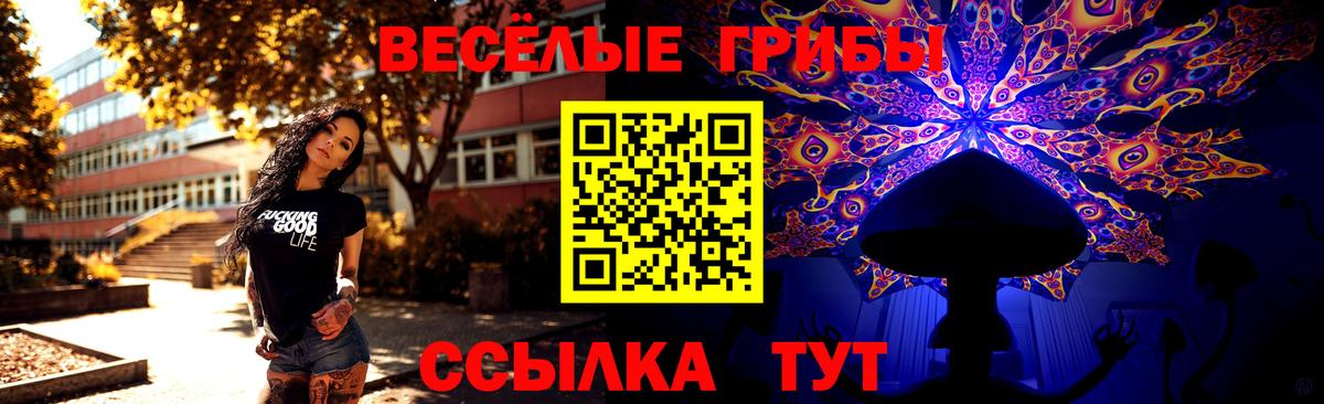 Псилоцибиновые грибы Cubensis Дюртюли